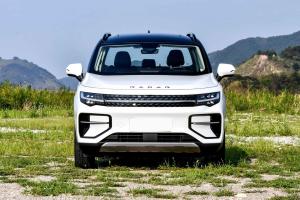 Quality 4 Wheel Pickup EV Car 4 Doors Electric Transport Vehicle Geely Radar RD6 185 km/h wholesale