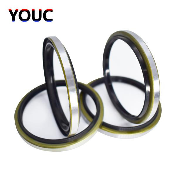 High Temperature Dkb Dust Seal NBR Metal Outer Iron 30 X 42 X 6mm Durable Dust