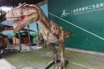Simulation Life Size Dinosaur Models For Show Museum Customization Acceptable