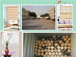 Quality fashion day night zebra roller blind wholesale
