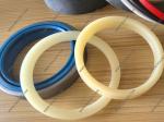 Hydraulic Cylinder Repair Seal Kit 244-2071 2442071
