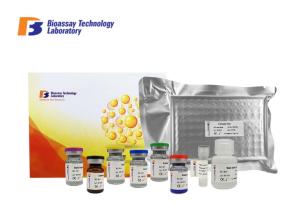 Quality Customized 96 Well Plate Human ELISA Kit Angiopoietin 4 2 - 8°C Storage OEM wholesale