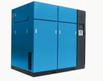 75kw 8bar Fixed Speed Dry Oil-Free Screw Air Compressor