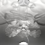 Chandelier creative personality living room designer lamp simple Chlorophilia