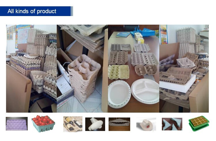 High Efficiency Pulp Egg Cartons Making Machine , Fruit Tray Making Machine