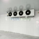 China Poultry Factory Refrigerated Copeland Cold Storage Room for Sale