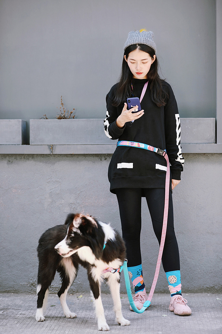 Outdoor Hiking Retractable Anti Pull Dog Leash Lead 1 Inch Halti Handmade