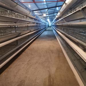 Quality Laying Chicken Layer Egg Battery Cage System For Laying Hens wholesale