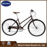 Single Speed City Bike 700C