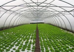 Quality Small Area Single Tunnel Greenhouse Easy Install For Nursery / Flower Farming wholesale