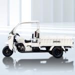 Standard Size 3 Wheel Gasoline 200cc/250cc/300cc Motorcycle Engine Cabin Cargo