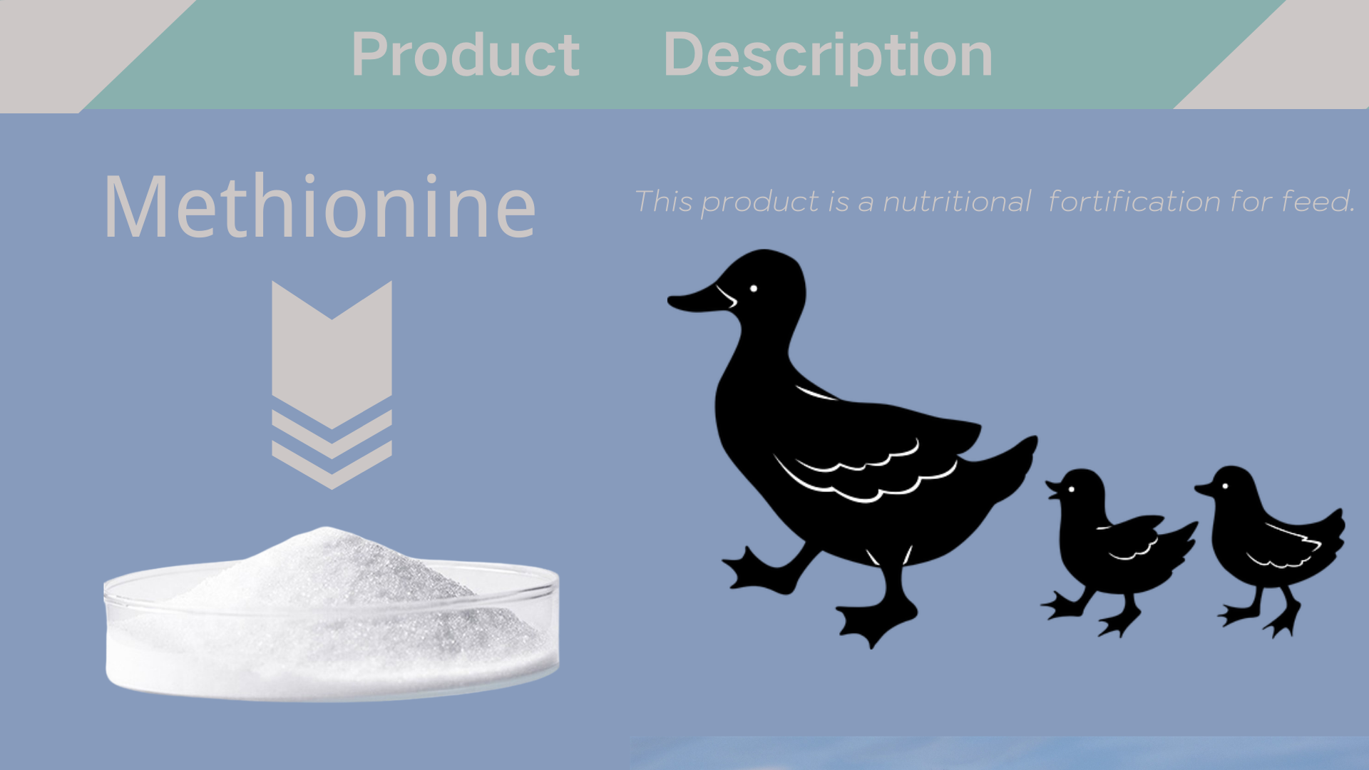 Animal Pharmaceuticals DL Methionine Powder Feed Additives for Poultry and Livestock