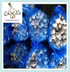 Quality High quality fresh normal white garlic 6.0 for sale 2016 wholesale