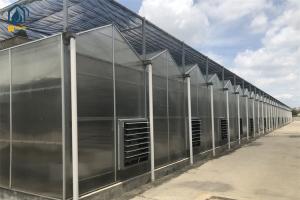 Quality Customized Polycarbonate Panel Greenhouse Year Round Vegetable Greenhouse wholesale