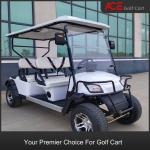 Compact Chargeable Electric Golf Buggy 14inch Tire Size 80 - 100km Traveling