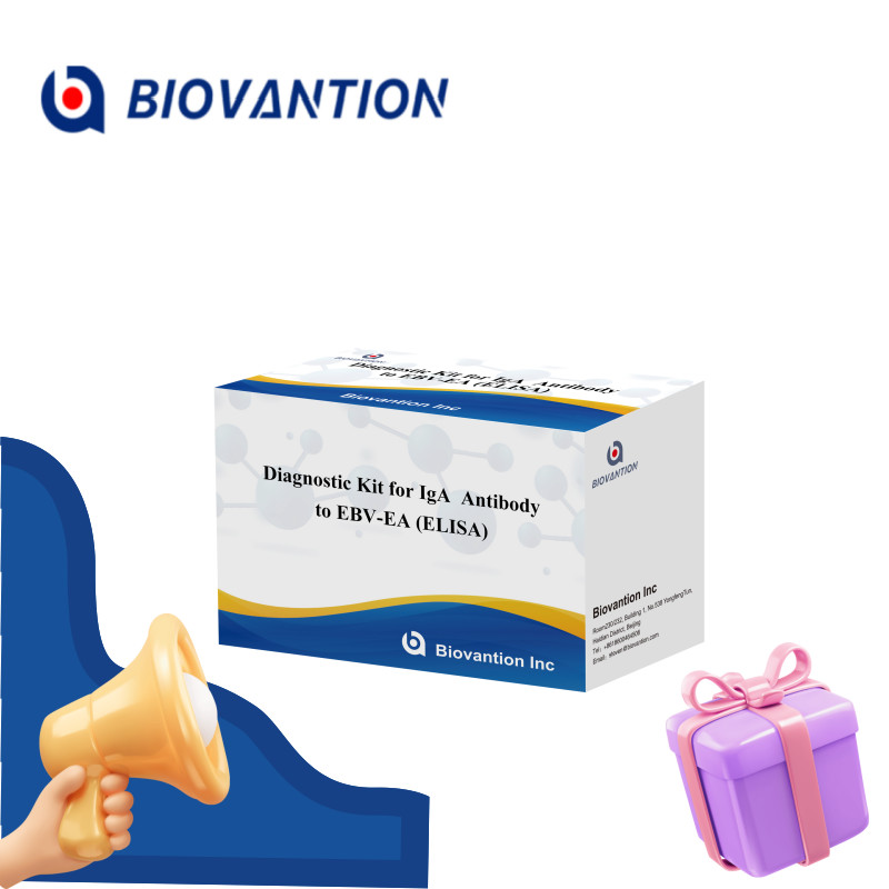 2-8℃ Sensitivity Diagnostic Kit For IgA Antibody To EBV-EA ELISA Test Kit