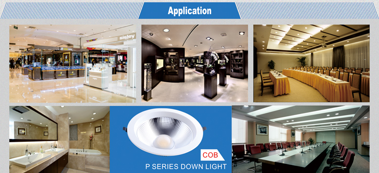 COB Recessed LED downlight 20w