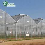 Automatic Controlling Box Aquaponics Film Greenhouse for Animals Growing Tent