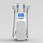 Beauty Salon Mini Cryolipolysis Fat Freezing Machine