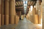 Uncoated Recycled 280g 325g 350g Food Grade Kraft Paper Rolls