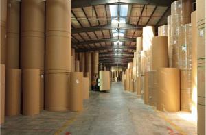 Quality Uncoated Recycled 280g 325g 350g Food Grade Kraft Paper Rolls wholesale