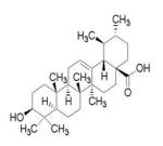 Manufacturer Supply natural high quality lotus leaf extract, Nelumbo Nucifera