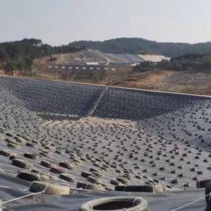 Quality 1mm 2mm HDPE Geomembranas for Landfill Dam Construction in Black White Blue or Green wholesale