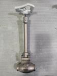 Stainless Steel PN50 Low Temperature Long Stem Globe Valve
