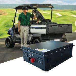 Quality Club Car Golf Cart Lithium Battery 125Ah 51.2V LiFePO4 Battery 4000 Times Cycle Life wholesale