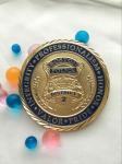 Coin Manufacturer Souvenir Metal Custom Police Challenge Coin