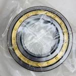 Cylindrical Roller Bearing NU5038 M