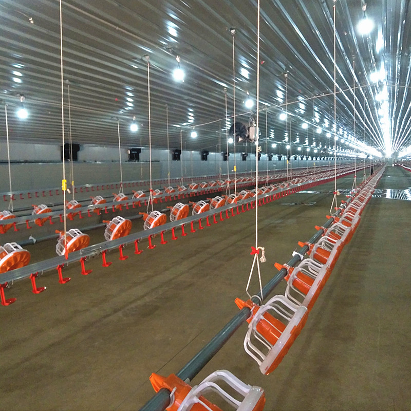 Automatic Poultry Feeding Broiler Equipment Chicken Floor Ground System 1.1KW
