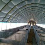 Poly Tunnel Greenhouse Poultry Farm For Sheep Chicken