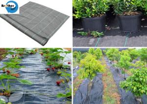 Quality Heavy Duty Weed Control Fabric Membrane Garden Ground Cover Mat Landscape Sheet wholesale