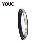 High Temperature Dkb Dust Seal NBR Metal Outer Iron 30 X 42 X 6mm Durable Dust