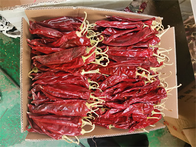 Dehydrate Sweet Paprika Pepper Non Irradiated Dried Red Chili Pods 140 Atsa