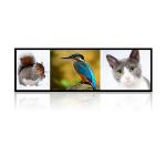 23.1" 1920x158 Ultra Wide Stretched Displays