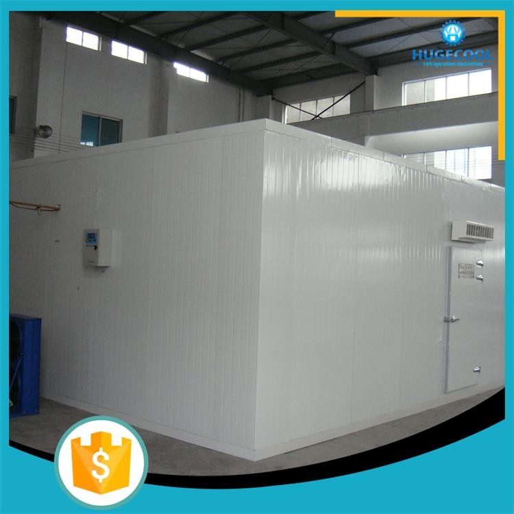20 years experience cold storage cold room building material price