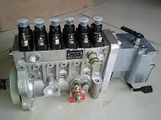 Quality Cummins Fuel Injection Pump 3972878 ,cummina fuel pump 3972878 wholesale