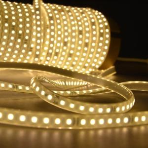 Quality 110v220v Waterproof 10mm 180leds 6500K Die-Cutting Board SMD2835 LED Strip Light IP67 wholesale