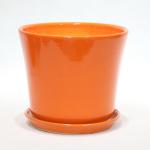 Beauty And Functionality Of Ceramic Pots For Any Plant Shop Small Size