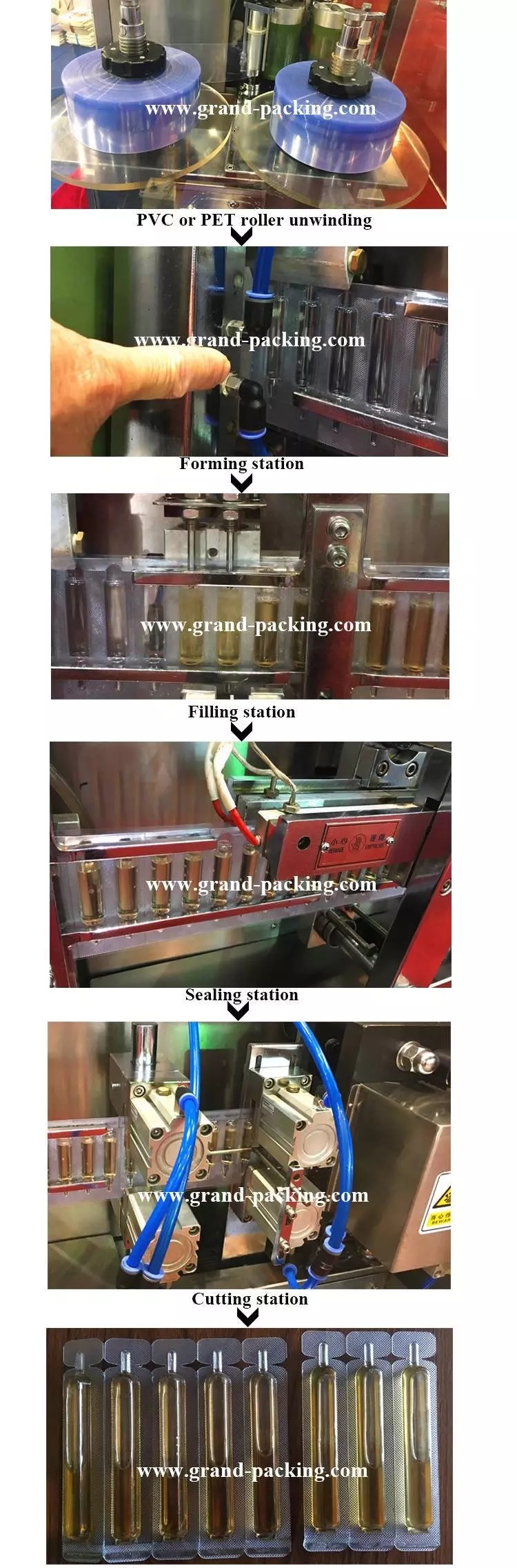 Suspension pesticide fertilizer plastic ampoule forming filling sealing machine