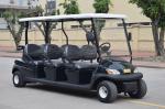 Smooth Ride 6 Passenger Electric Golf Buggy with Trojan Battery