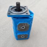CBGJ Double Pump Square cover Spline Compact Original Gear Pump For Engineering