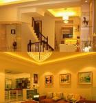 SMD 5050 60LED/M 110V 14.4W/M Yellow LED strip light