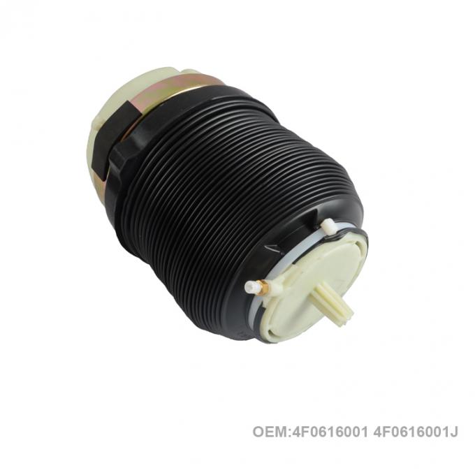 Rear Left / Right Air Suspension Springs For A6C6  4F0616001 4F0616001J