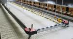 Goat Farm Plastic Slatted Floor Broiler House White / Customized