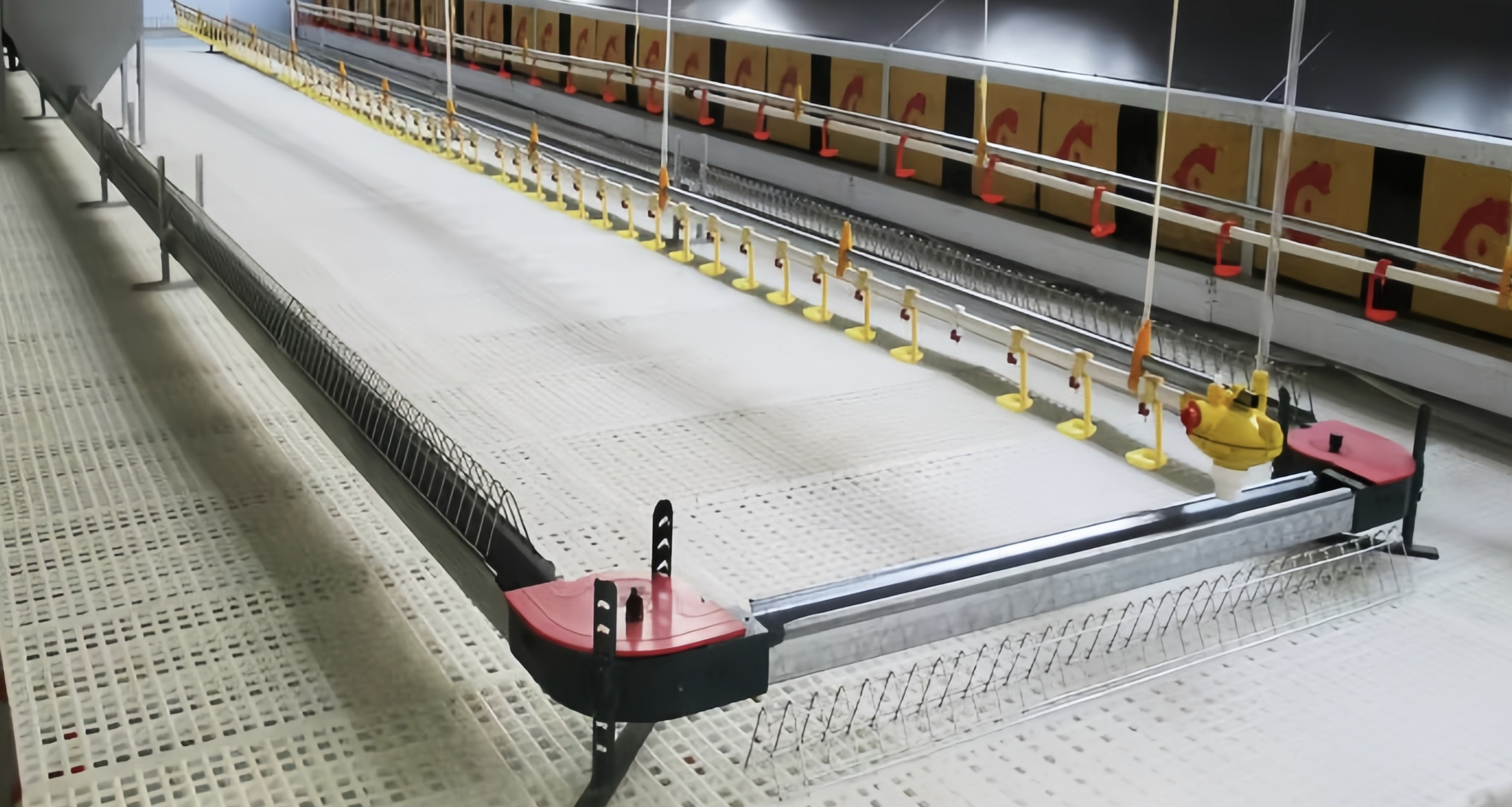 Easy Cleaning Slatted Floor Broiler House Plastic Slate Floor For Poultry Farm