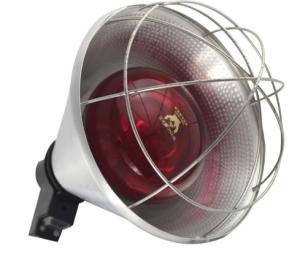 Quality Clear Bulb Animal Infrared Heating Lamp Explosion Proof Heavy Glasses wholesale