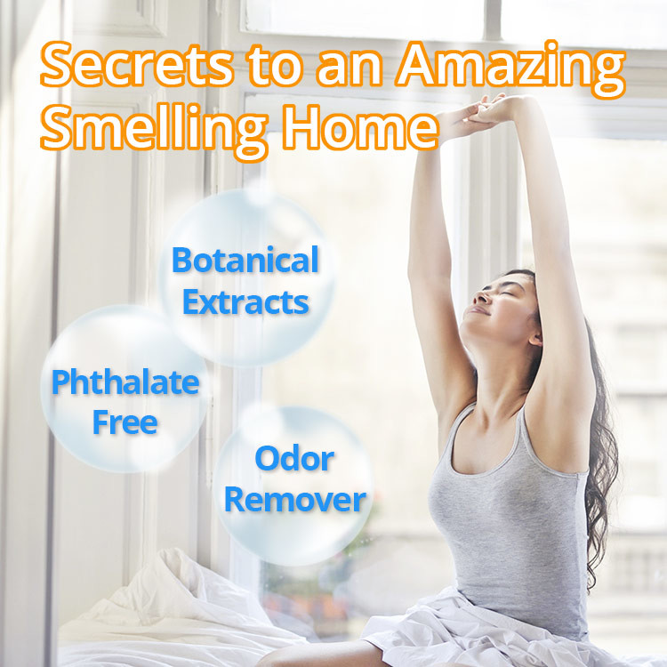 Customized Bottle Air Freshener Home Fragrance Natural Room Spray
